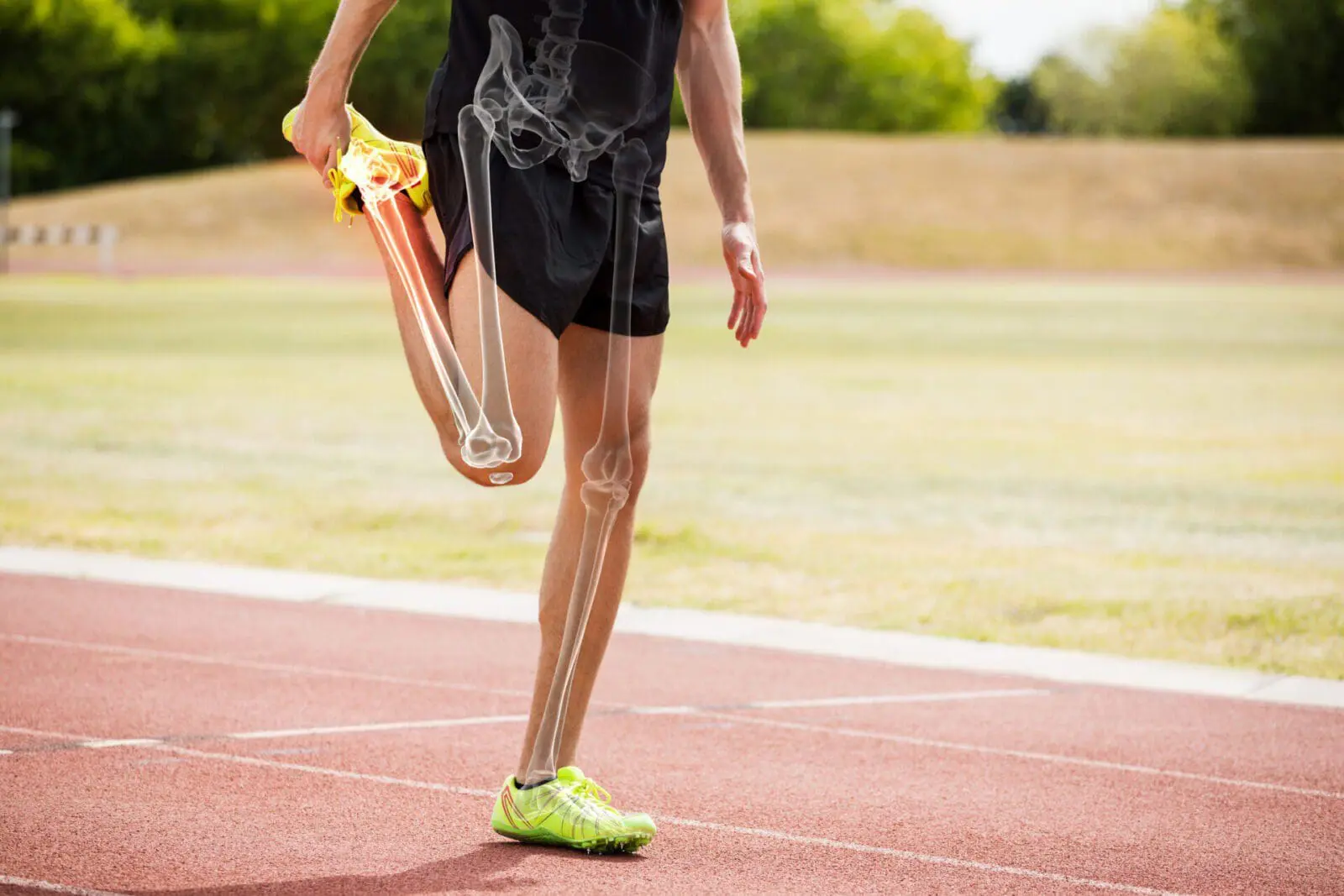 Highlighted bones of athlete man stretching on race track