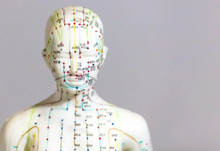 Selective focus shot of a dummy with Acupuncture points and meridians
