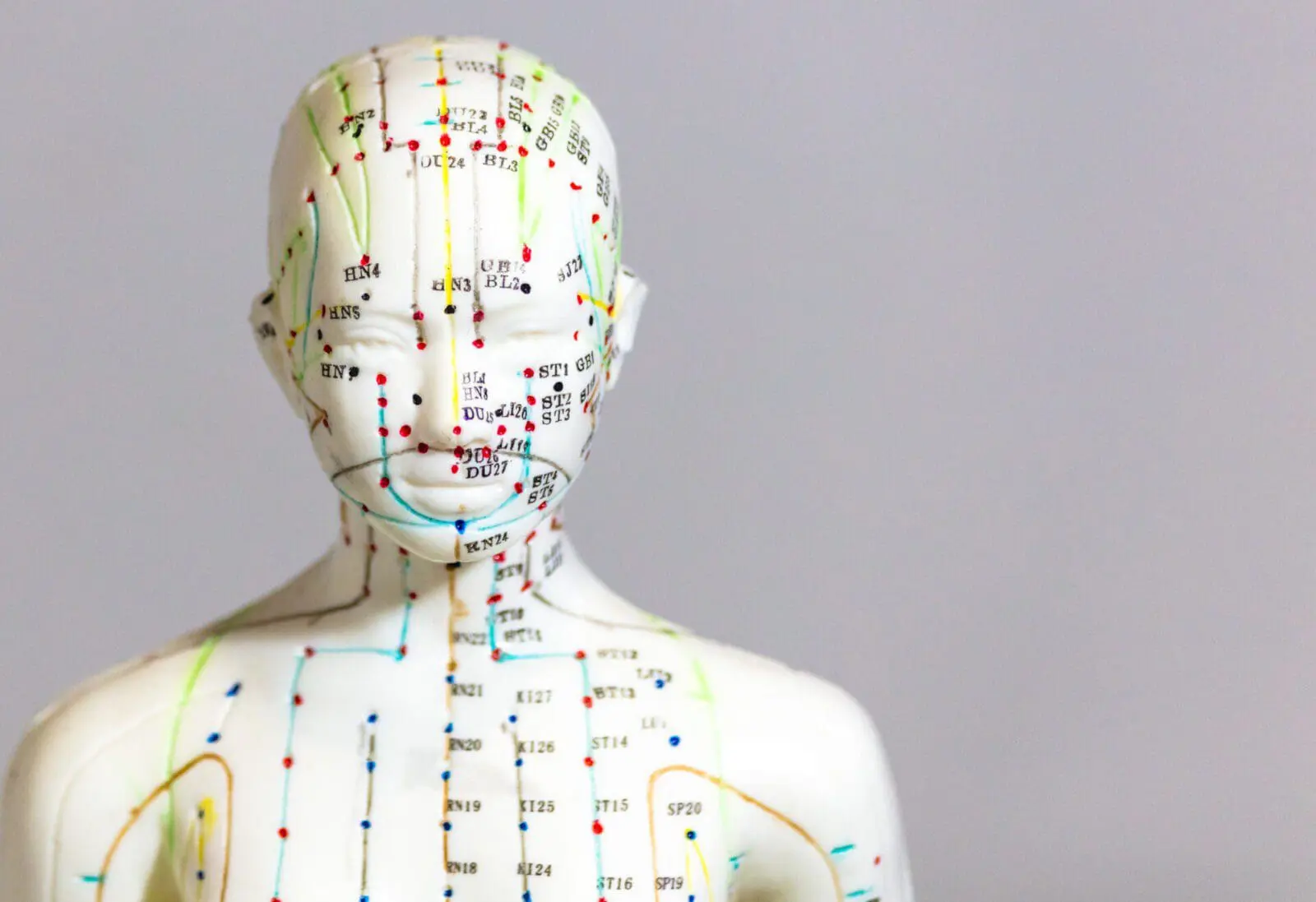 Selective focus shot of a dummy with Acupuncture points and meridians