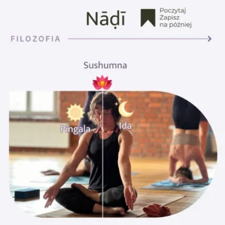 🌟Energetyczne kanały w jodze: Sushumna, Ida i Pingala 🌟

W jodze wyróżniamy trzy główne kanały energetyczne (nadi), które odpowiadają za przepływ energii życiowej (prana) i są ściśle związane z równowagą fizyczną, emocjonalną i duchową.

🌙 Ida Nadi 🌙
Ida Nadi, znana jako lewy kanał, zaczyna się w miednicy, wznosi się wzdłuż kręgosłupa i łączy z lewą dziurką nosa. Przynosi ze sobą chłodne, kobiece, twórcze i emocjonalne cechy, podobne do działania układu parasympatycznego. Odpowiada za procesy relaksacyjne, kreatywność i intuicję. Jej energia jest związana z księżycem, dlatego nazywana jest Chandra Nadi. Aby ją aktywować, możesz praktykować oddychanie przez lewą dziurkę nosa (Chandra Bhedana) lub Nadi Shodhanę. Brak równowagi w Idzie może powodować trudności w relaksacji i przetwarzaniu emocji.

☀️ Pingala Nadi ☀️
Pingala Nadi, czyli prawy kanał, biegnie wzdłuż kręgosłupa i łączy się z prawą dziurką nosa. Charakteryzuje się gorącymi, męskimi i energetycznymi właściwościami, podobnymi do działania układu współczulnego. Jest odpowiedzialna za logikę, analizę i aktywność fizyczną. Związana ze słońcem, nosi również nazwę Surya Nadi. Aktywacja Pingali odbywa się poprzez oddychanie prawą dziurką nosa (Surya Bhedana), co wzmacnia funkcje lewej półkuli mózgu. Nierównowaga w Pingali może prowadzić do letargu lub drażliwości.

🌟 Sushumna Nadi 🌟
Sushumna Nadi to centralny kanał energetyczny, który biegnie od czakry podstawy (Muladhara) do czakry korony (Sahasrara). Jest główną ścieżką przepływu kundalini — energii duchowego przebudzenia. Składa się z trzech warstw: Sushumna, Vajra i Chitra. Energia kundalini może przepłynąć przez Sushumnę tylko wtedy, gdy Ida i Pingala są oczyszczone i zrównoważone. To połączenie pomiędzy czakrami a ciałem fizycznym, które pozwala osiągnąć duchowe oświecenie.

Równoważenie tych trzech kanałów poprzez świadome techniki oddechowe i praktyki jogi przynosi wewnętrzną harmonię i duchowy rozwój. 🧘‍♀️💫

#równowaga #energiakundalini #szuszumna #czakry