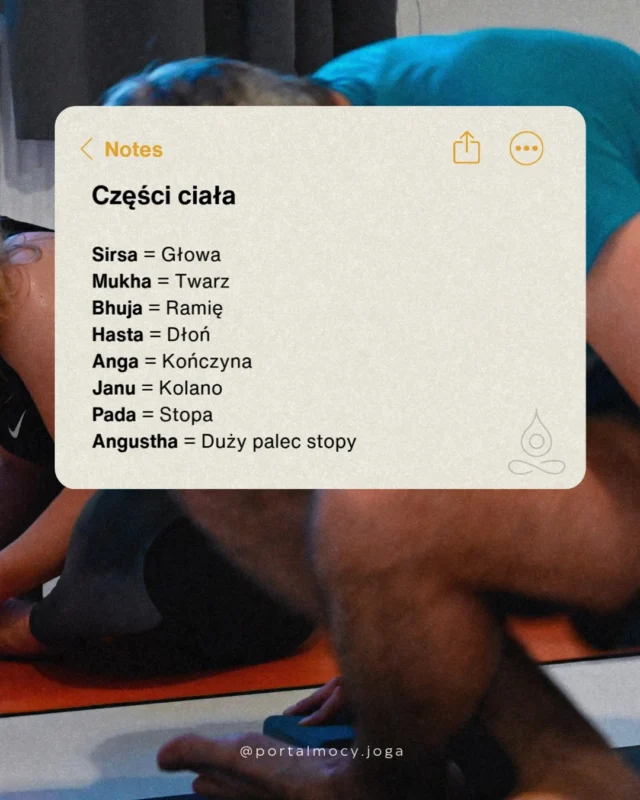 Sanskryckie nazwy asan często mówią bardzo konkretnie, która część ciała jest ważna w pozycji.

Dzięki temu łatwiej zrozumieć pozycję jeszcze zanim ją wykonasz. 

Padangusthasana od razu wskazuje na stopę i duży palec. 
Janu Śirṣāsana mówi o relacji kolana i głowy. 
Hasta podpowiada, że dłonie będą miały znaczenie.

Kiedy rozumiesz te podstawy, sanskryt przestaje być barierą.
Staje się mapą praktyki.

#sanskryt #jogawrocław #jogadlakażdego