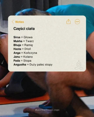 Sanskryckie nazwy asan często mówią bardzo konkretnie, która część ciała jest ważna w pozycji.

Dzięki temu łatwiej zrozumieć pozycję jeszcze zanim ją wykonasz. 

Padangusthasana od razu wskazuje na stopę i duży palec. 
Janu Śirṣāsana mówi o relacji kolana i głowy. 
Hasta podpowiada, że dłonie będą miały znaczenie.

Kiedy rozumiesz te podstawy, sanskryt przestaje być barierą.
Staje się mapą praktyki.

#sanskryt #jogawrocław #jogadlakażdego