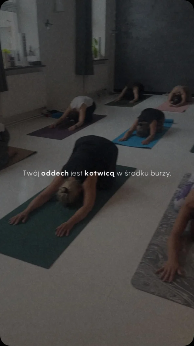 Twój oddech może być kotwicą, kiedy wokół robi się za dużo.

Nie musi zatrzymać całej burzy. Wystarczy, że pomoże Ci poczuć grunt, ciało i ten jeden moment, w którym możesz wrócić do siebie.

Wdech. Wydech. Jestem tutaj.

#oddech #joga #spokoj #uwaznosc #portalmocy