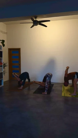 Trzymamy dla was przestrzeń każdego wieczoru 🫶
Są zmiany w grafiku by uniknąć utrudnień w korkach. Praktyka własna ashtanga oraz regeneracyjna flow joga o 20:30 dostęna także dla osób nie posiadających aktywnego karnetu